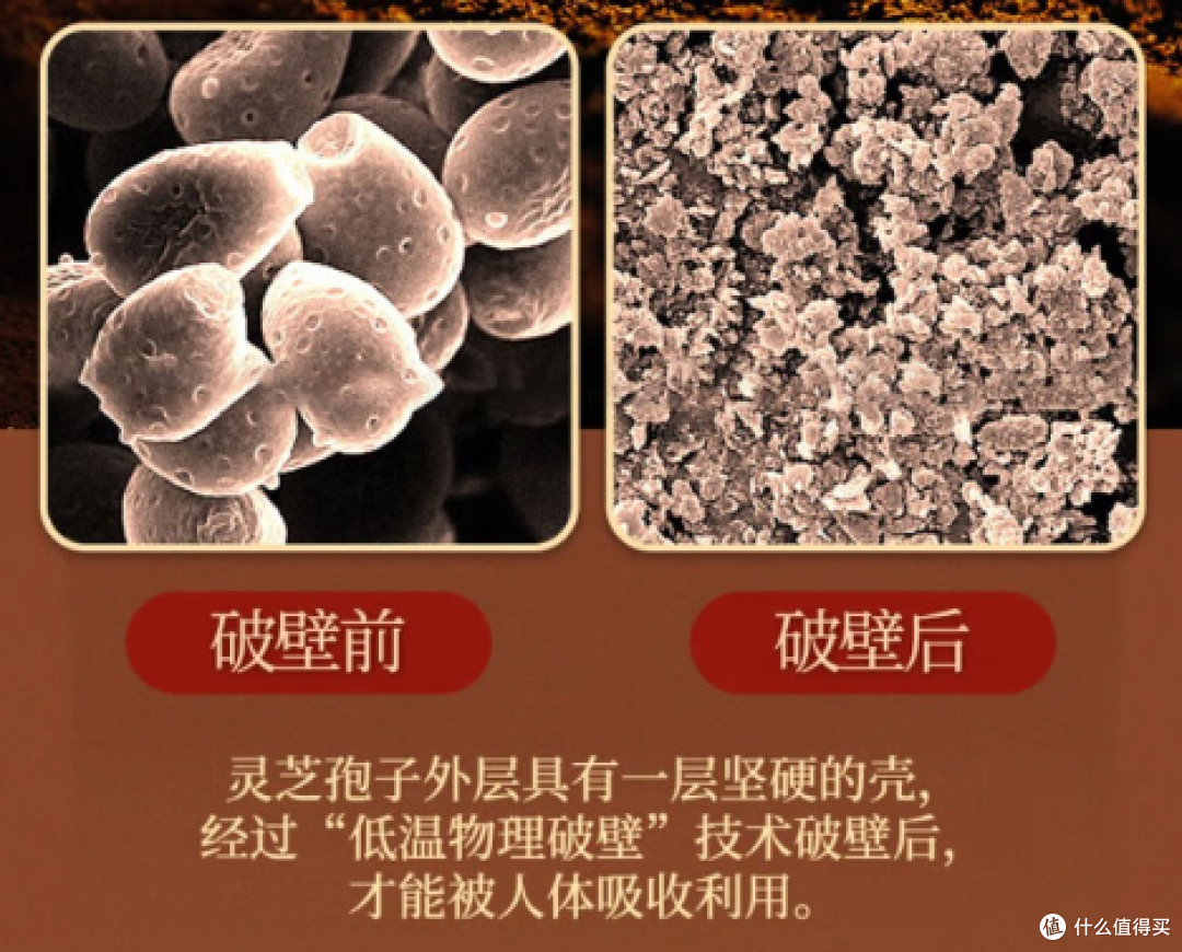 哪个品牌灵芝孢子粉纯正品质好?:产地优势与品质保障的权衡