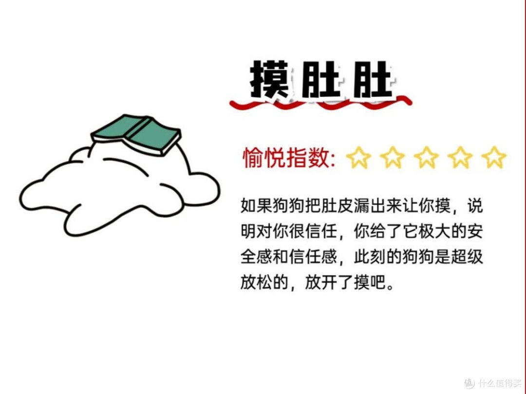 教你如何正确撸狗