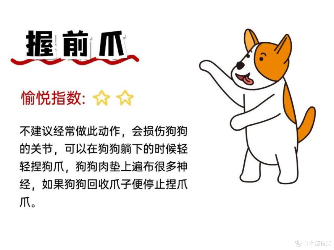 教你如何正确撸狗