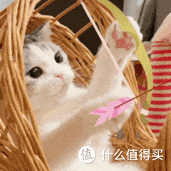 音轨分离软件