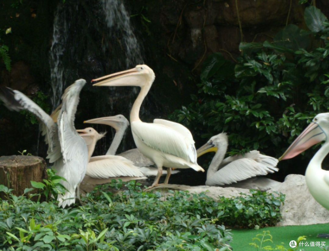 吉隆坡旅游攻略