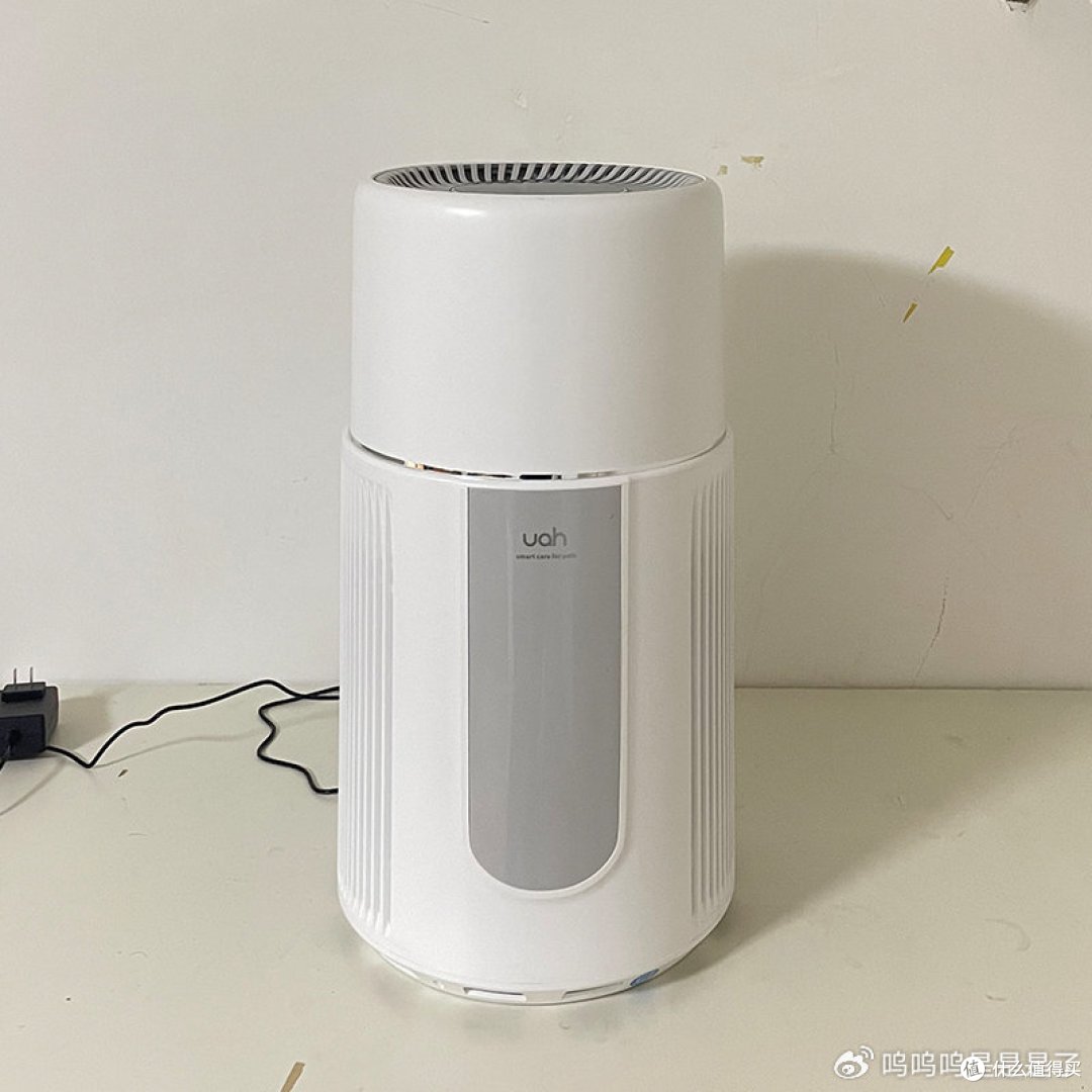 宠物空气净化器哪个品牌好?看宠物空气净化器真实测评,帮助选购