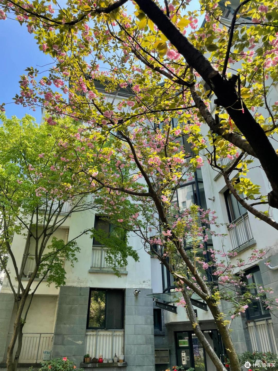 为何有钱人开始偷偷收购“步梯房”?内行人说出大实话,太真实了