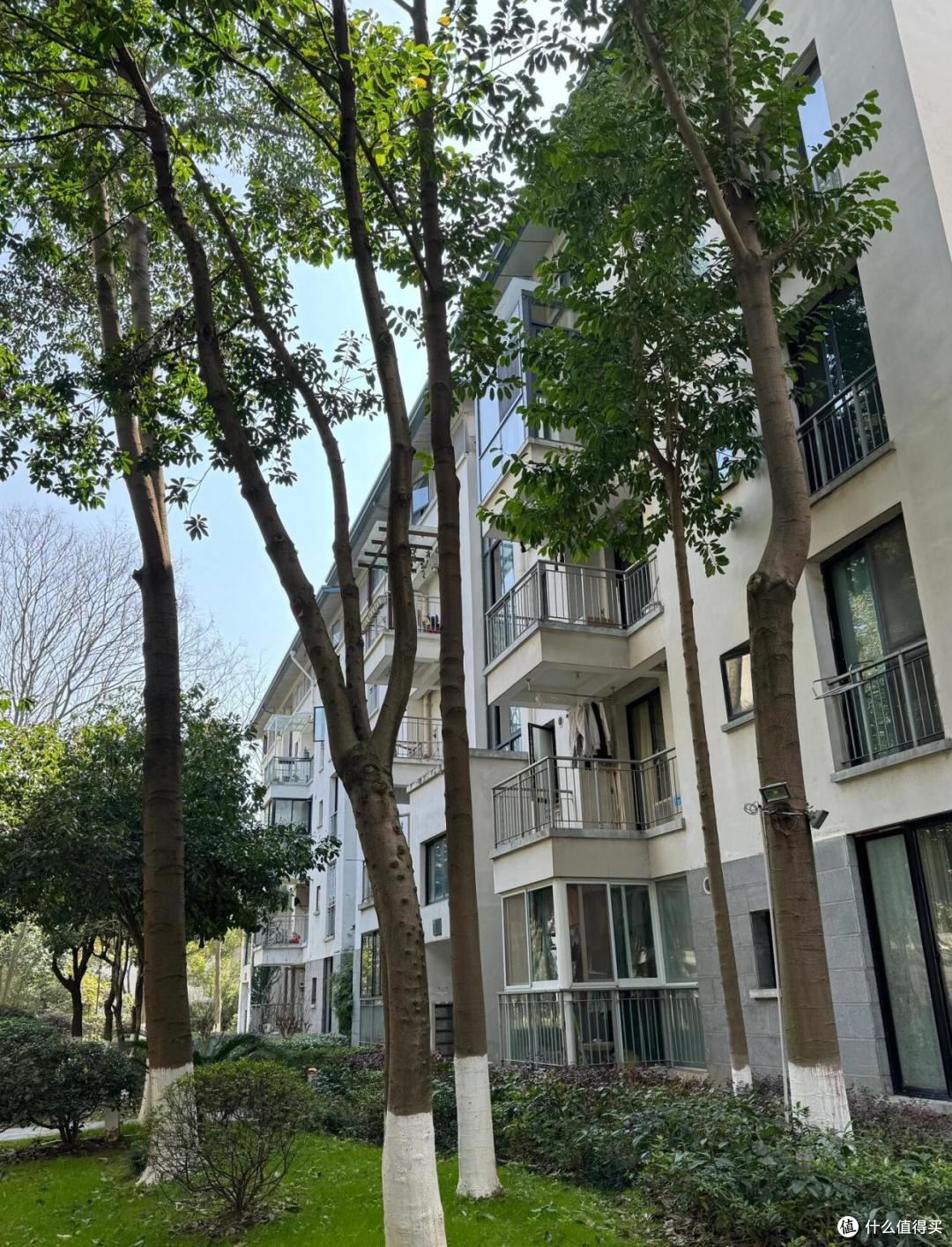 为何有钱人开始偷偷收购“步梯房”?内行人说出大实话,太真实了