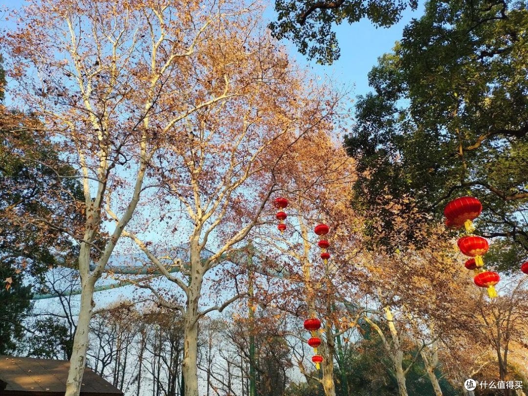 告别潮湿，石头Z1洗烘一体机测评分享