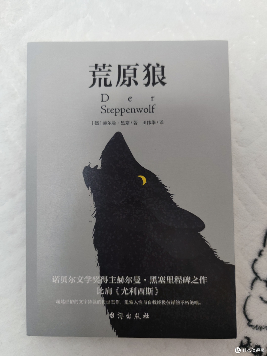《荒原狼》：赫尔曼·黑塞笔下的幽默与哲思