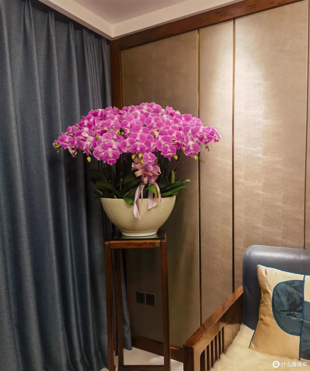 6种公认的“镇宅花”,养在客厅一花成景,人见人夸,绝了!