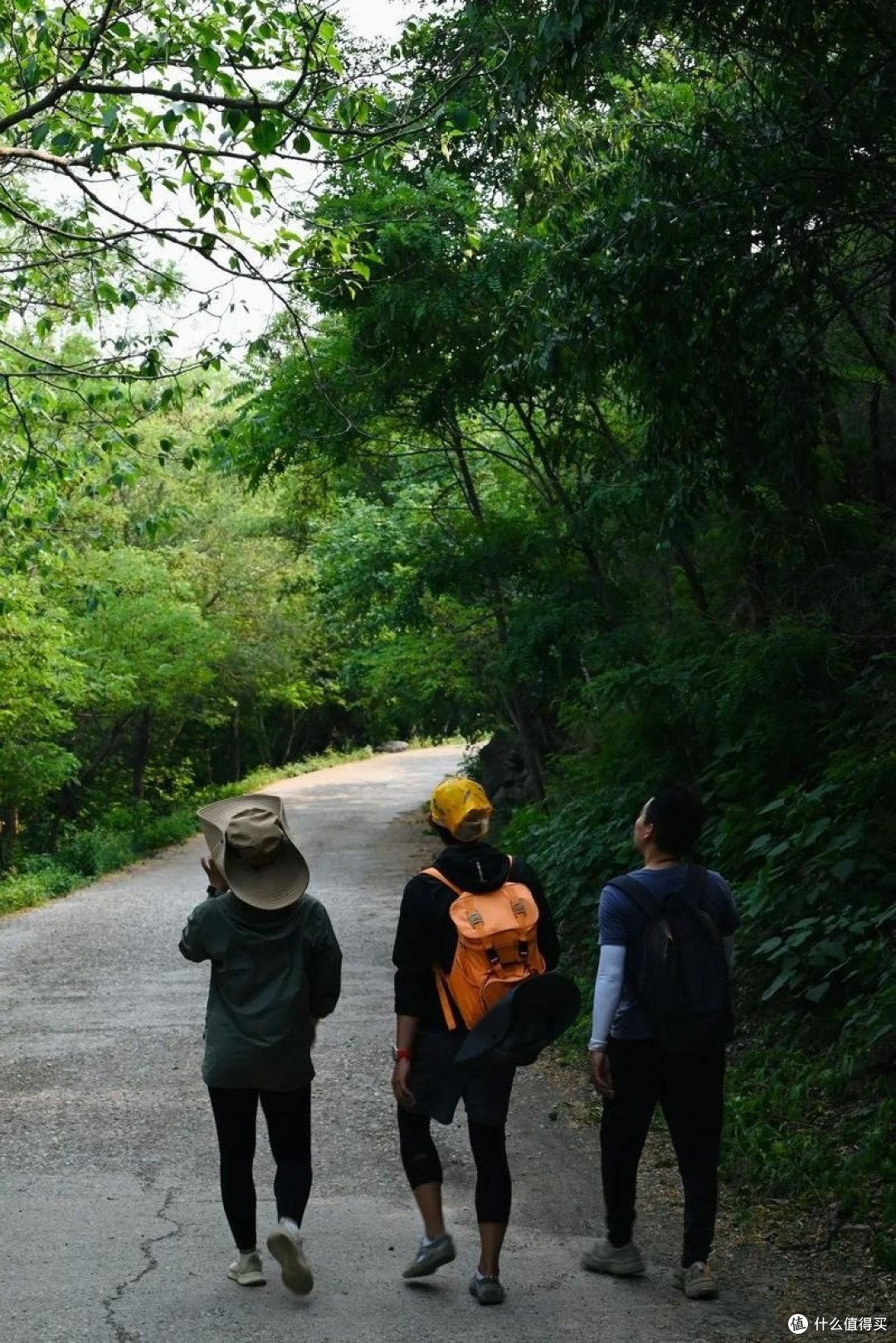 中年资深男人的户外运动之旅:山地骑行与徒步旅行