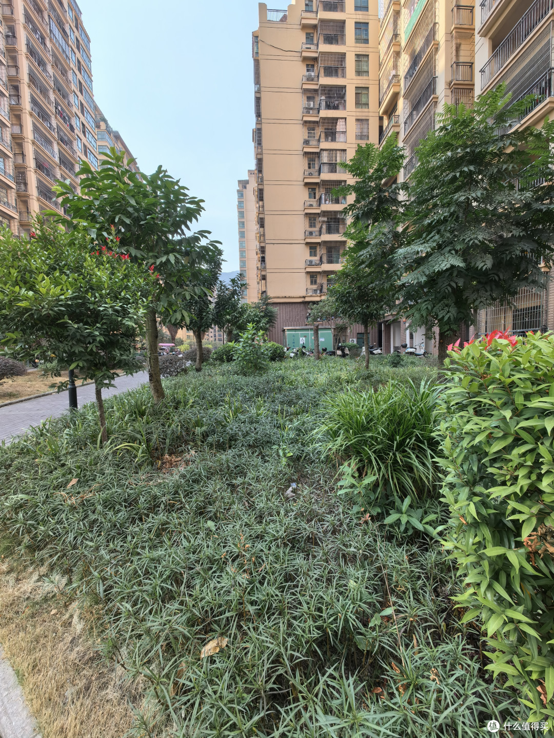 在美团外卖点个华为Mate 60是什么体验？麒麟+纯血鸿蒙=不卡