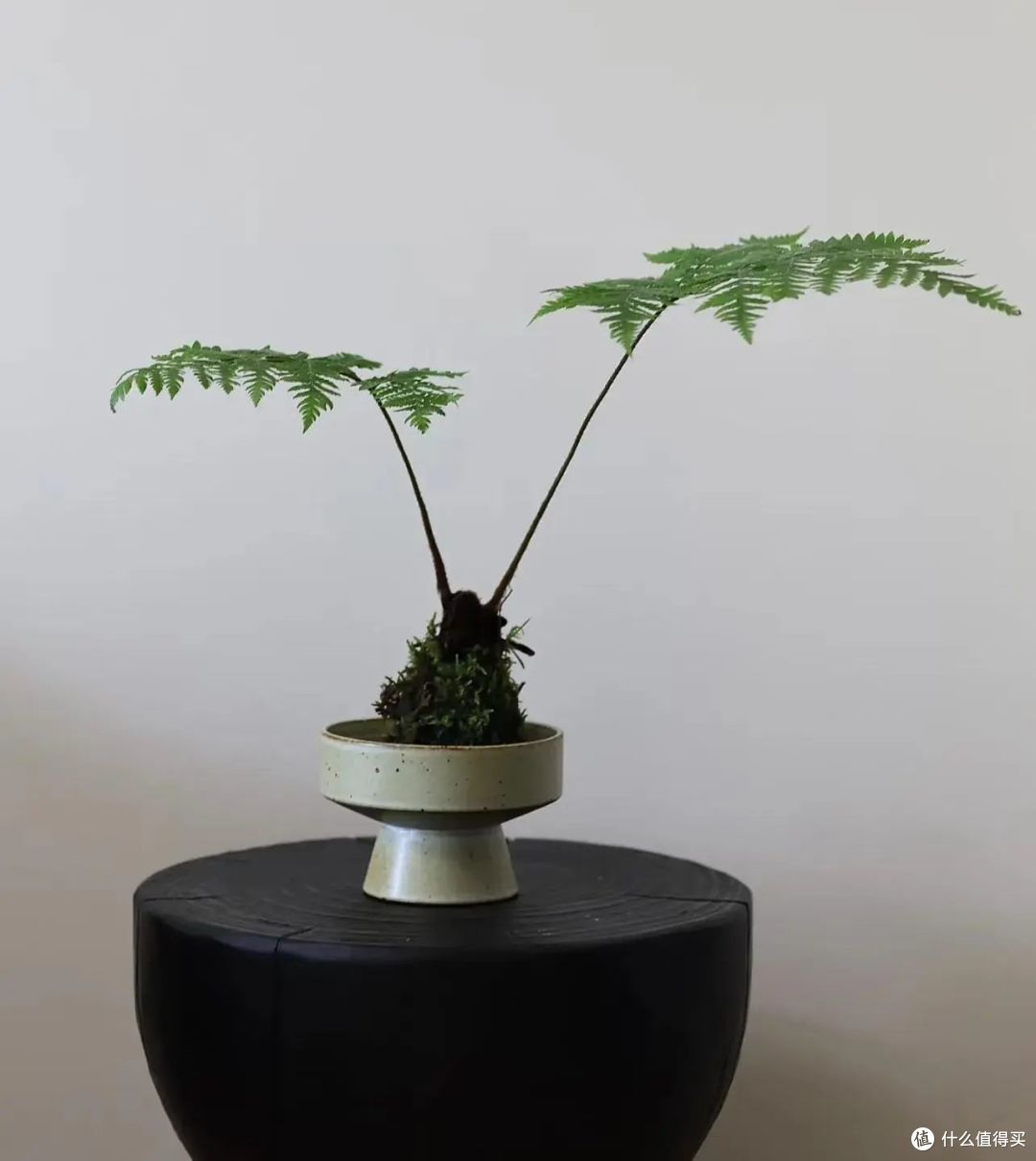 想过有些中古风东西不贵,但谁曾想,这些精致物件能便宜到这程度