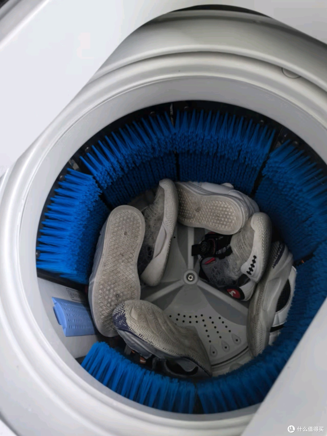 8公斤全自动家用洗脱一体洗鞋机mxx80vwe