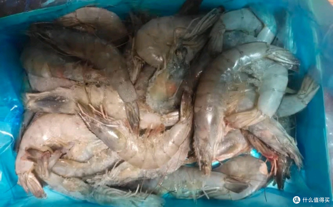 双旦盛宴，鲜京采厄瓜多尔白虾添美味🍤