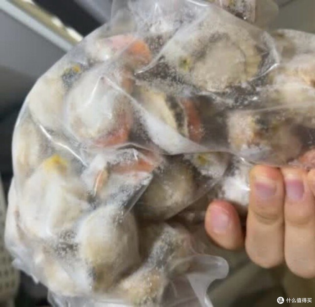 哇！超大带黄扇贝肉，吃货必备攻略！