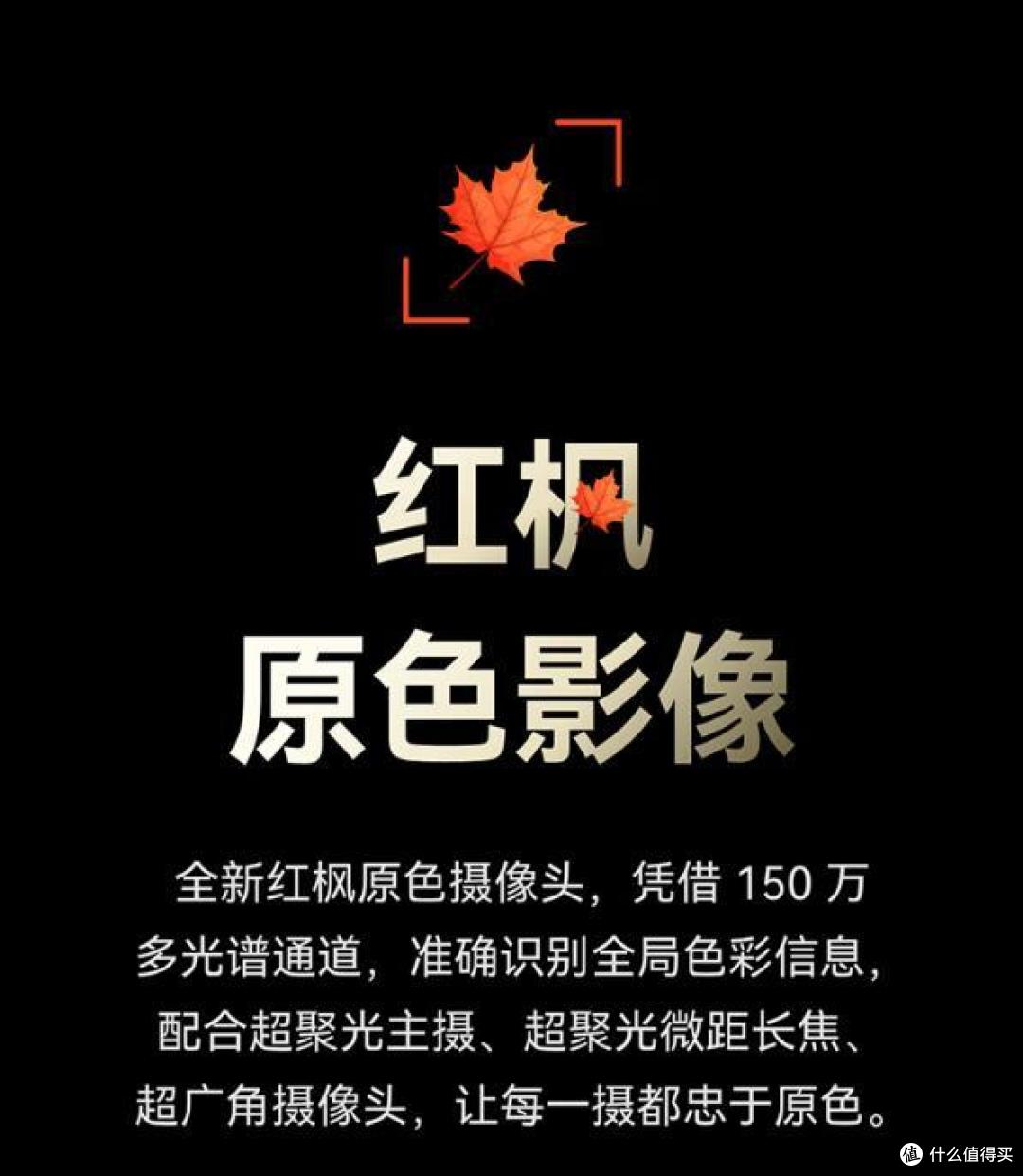 红枫影像