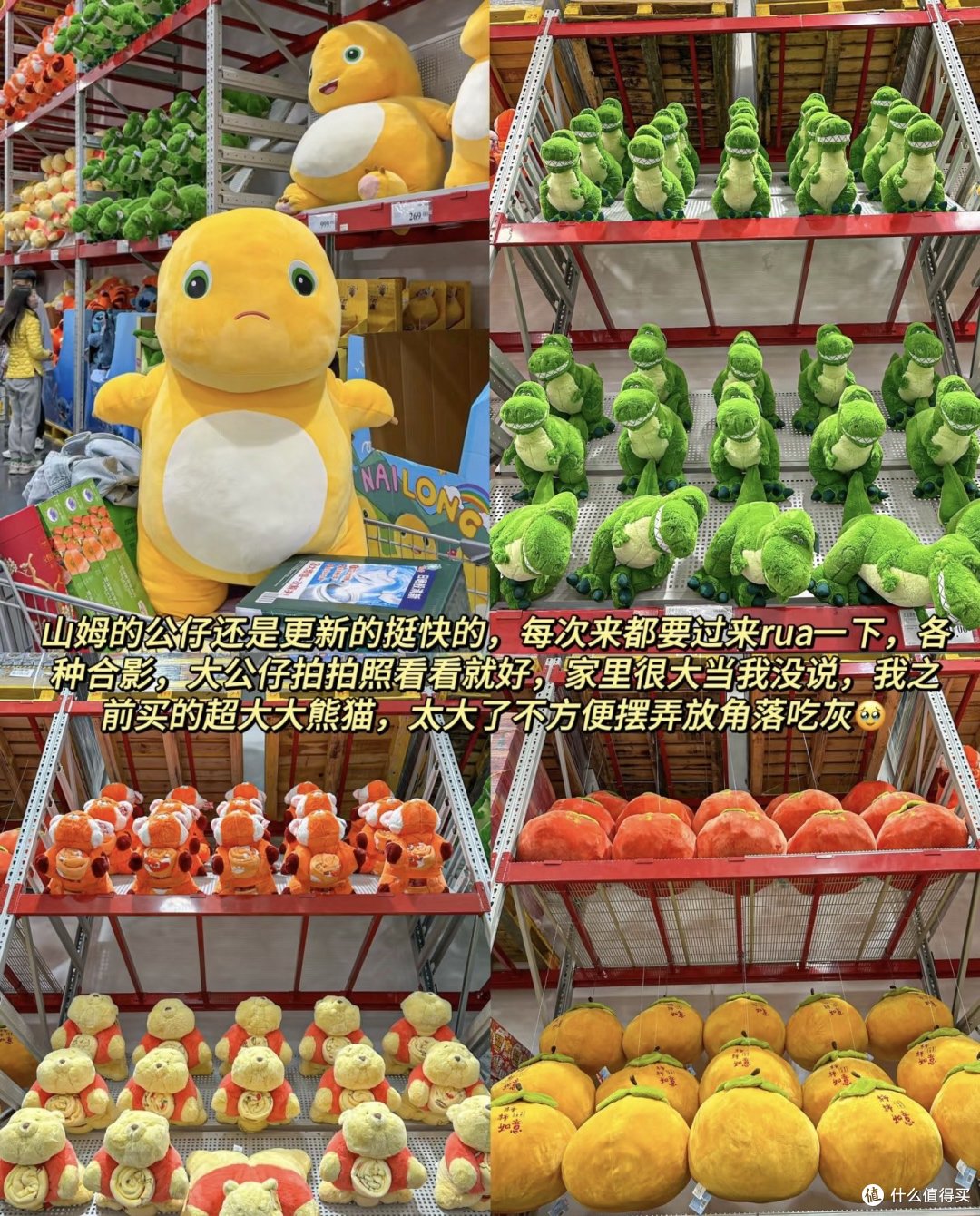 🛒2024山姆N回购好物清单,新年速逛版!