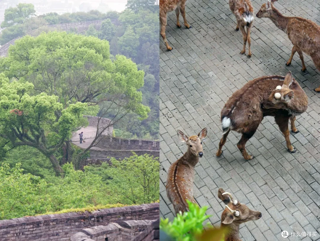 复购了5次的浙江小县城,果然还是这么好吃!