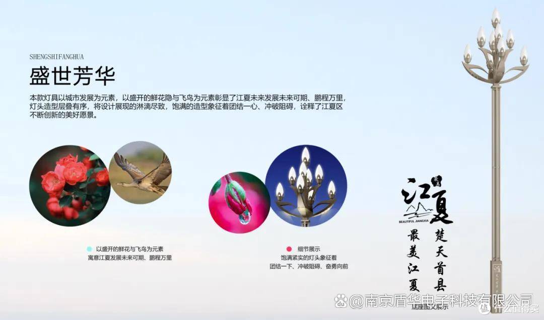 案例分享|大健康产业园山湖大道多功能智慧灯杆项目