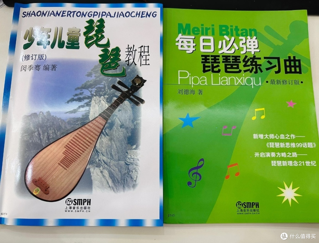 鸡翅木琵琶:我的新伙伴与新技能
