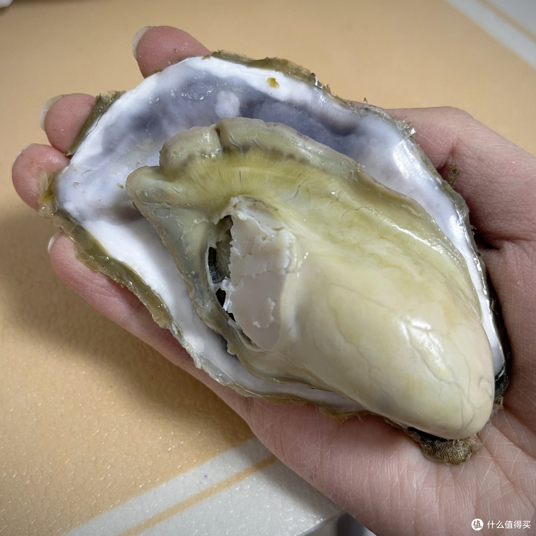 乳山本地人教你究竟多少钱的乳山生蚝值得买？