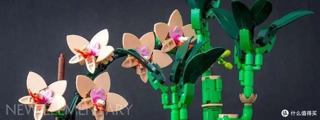简单两盆“花”竟然隐藏那么多惊喜？乐高迷你兰花富贵竹开箱测评