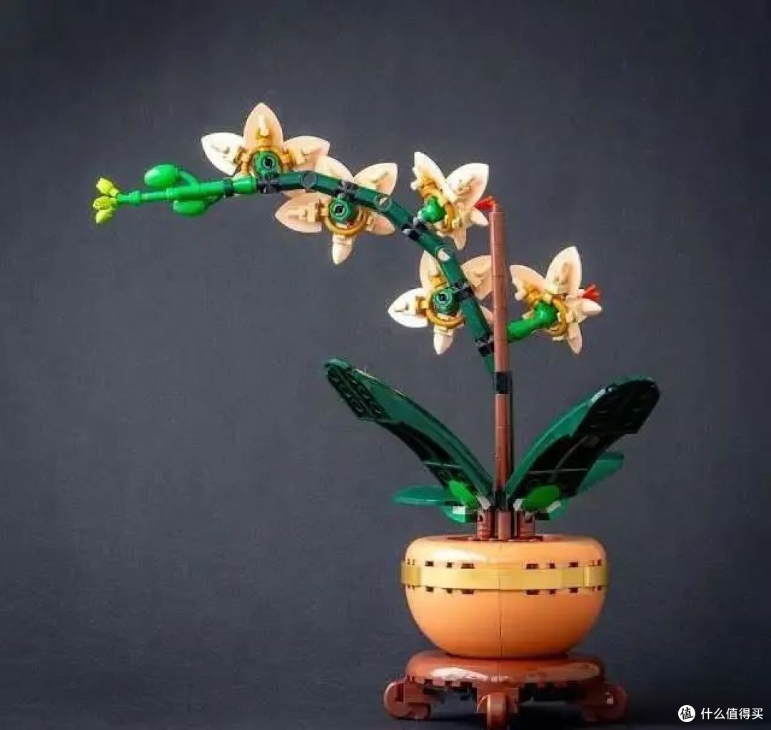 简单两盆“花”竟然隐藏那么多惊喜？乐高迷你兰花富贵竹开箱测评