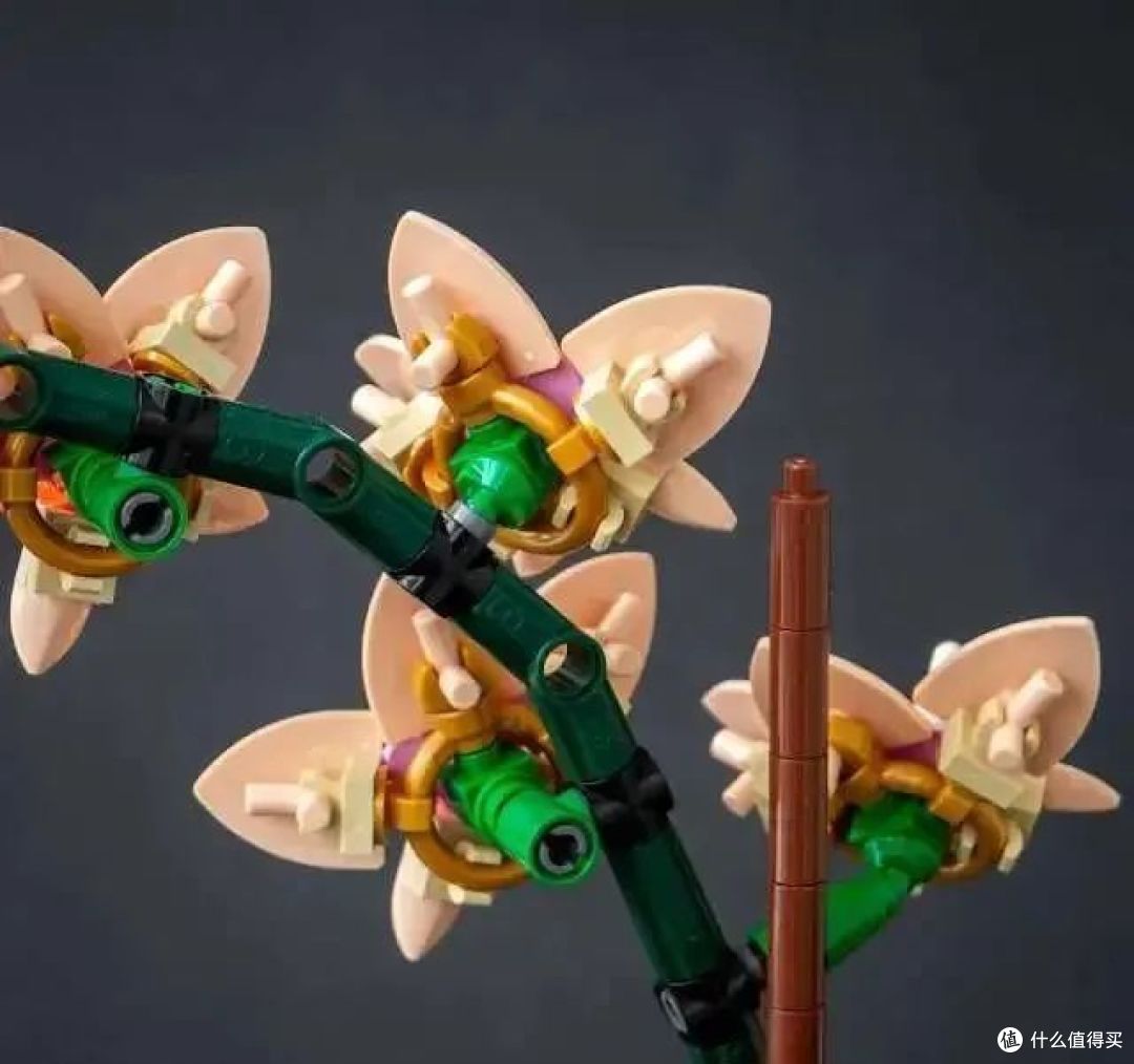 简单两盆“花”竟然隐藏那么多惊喜？乐高迷你兰花富贵竹开箱测评