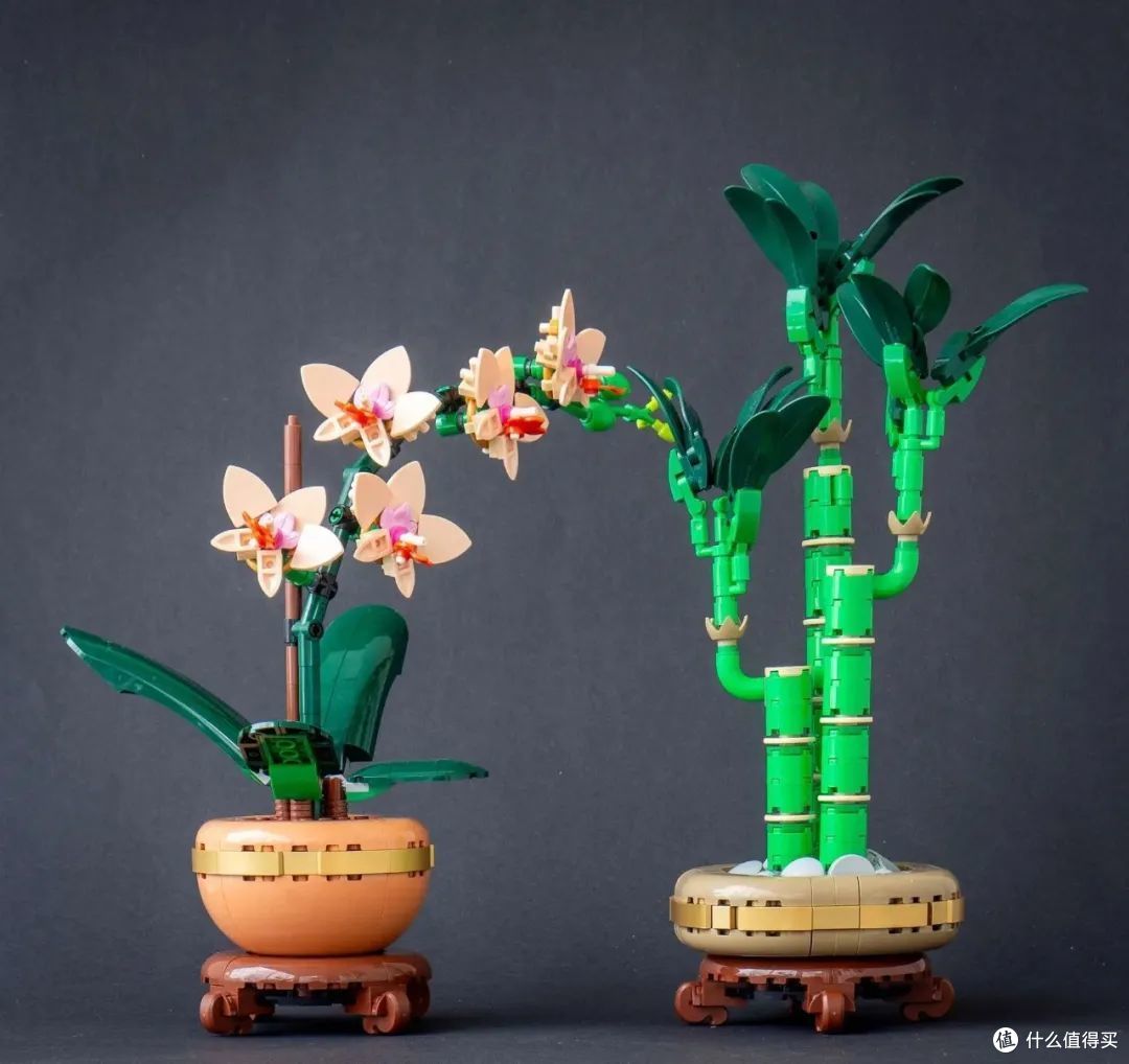 简单两盆“花”竟然隐藏那么多惊喜？乐高迷你兰花富贵竹开箱测评