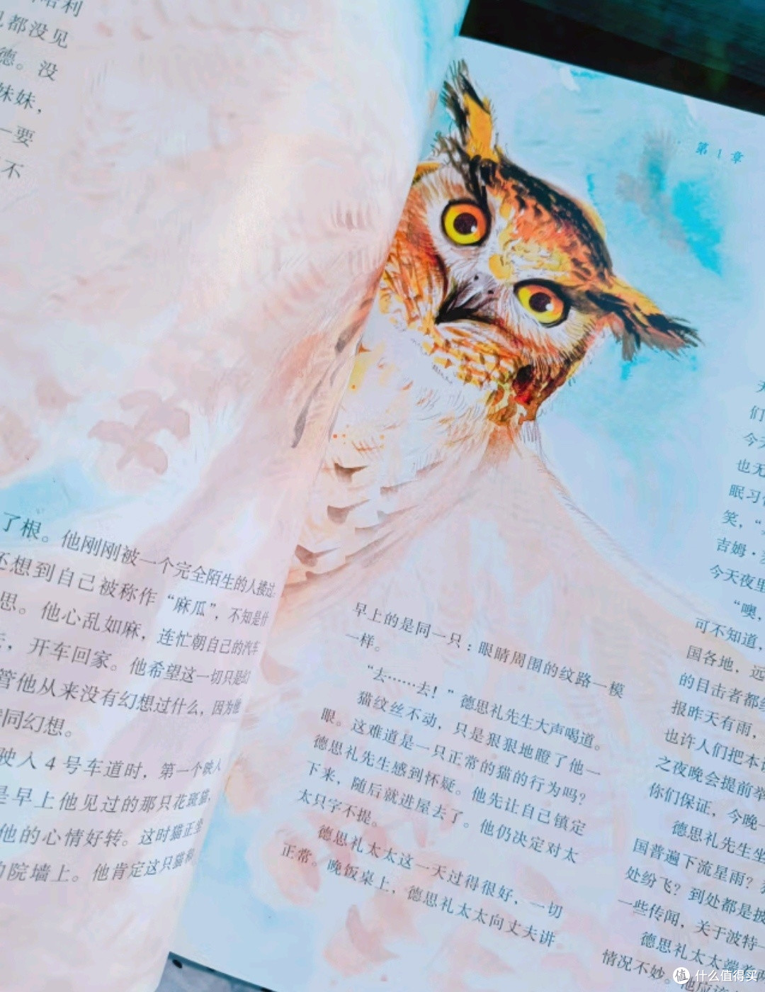 魔法世界的初探——《哈利·波特与魔法石（全彩绘本）》浅读