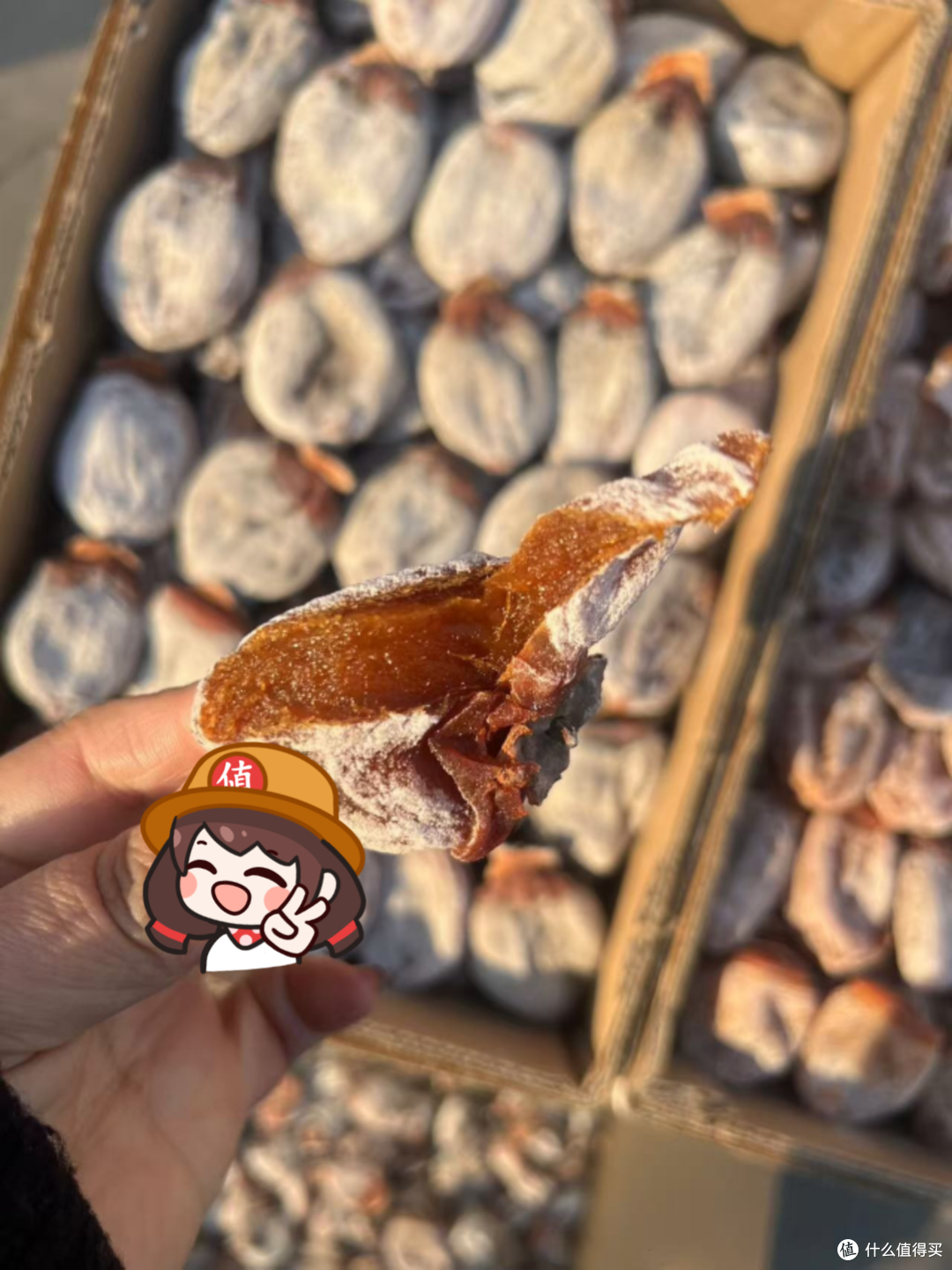 哇!美味的富平吊柿,备年货可入