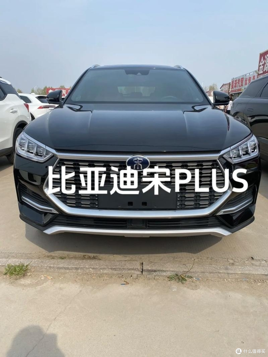 新年换新车,分享我的购车攻略和体验