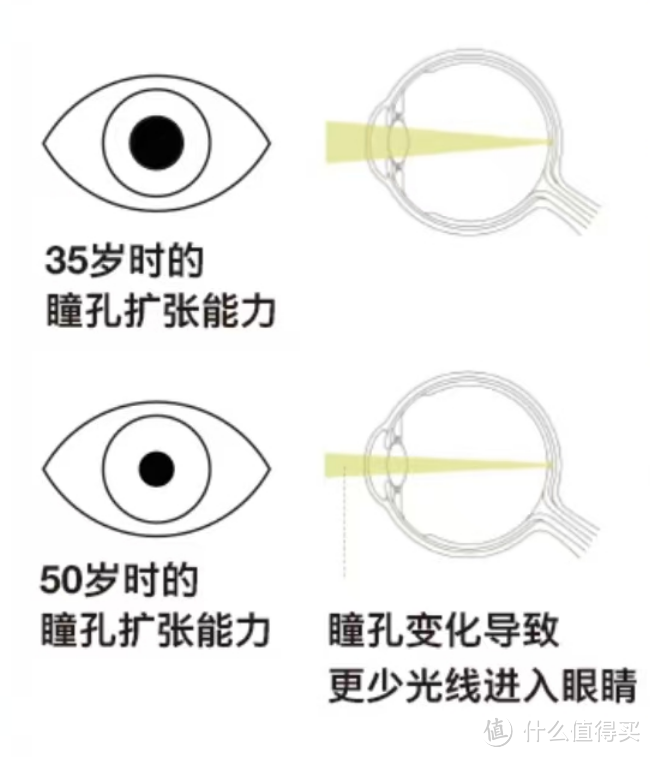 35岁+晶状体会老化！看近更清晰，蔡司睐光2.0轻渐进镜片分享！