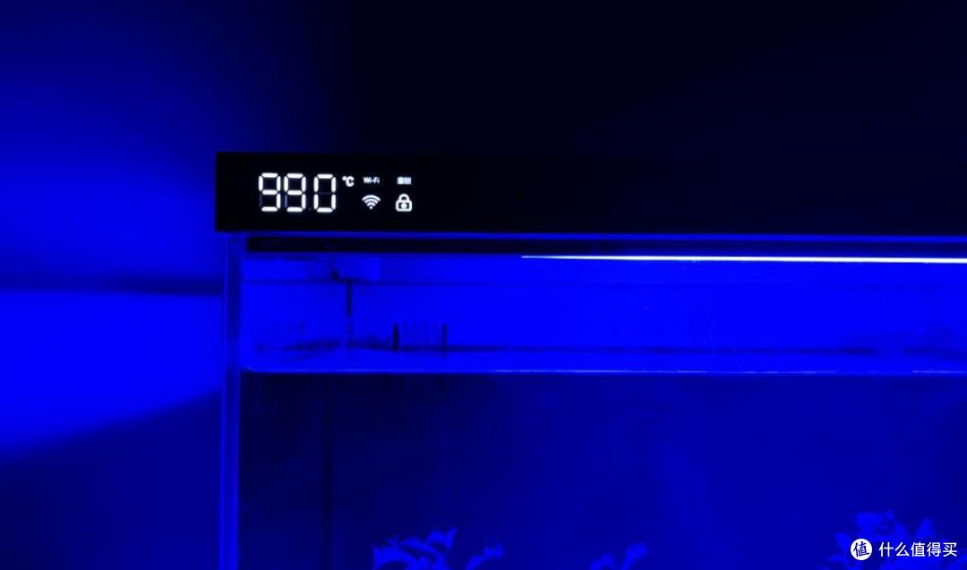 小白养鱼不用愁,当贝智能鱼缸1 Ultra轻松助力