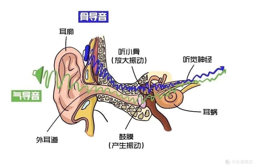 真人实测|高颜值林允同款耳机——塞那S7S耳夹式耳机