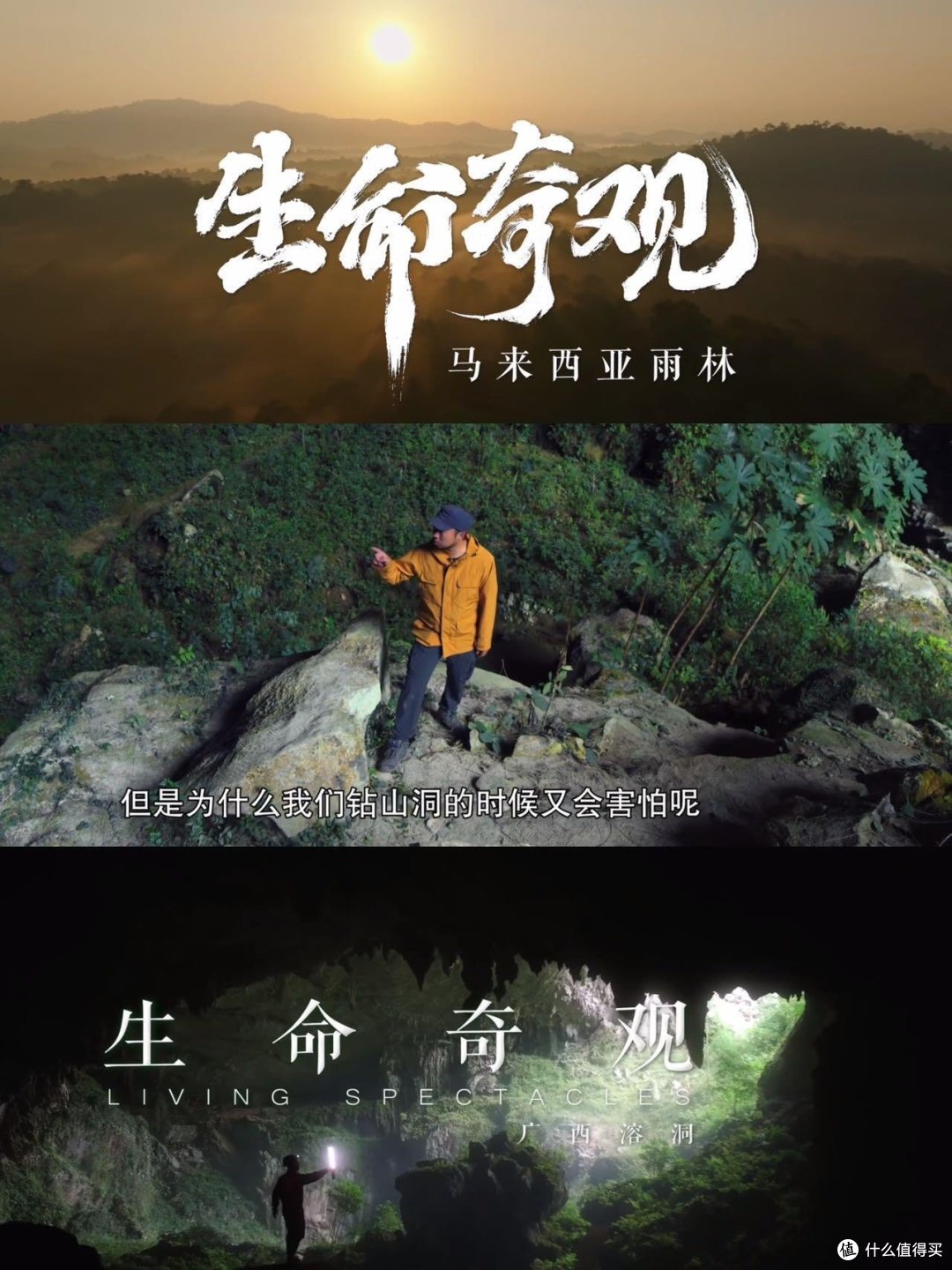 这片位于东南亚的热带雨林,不仅是全球生物