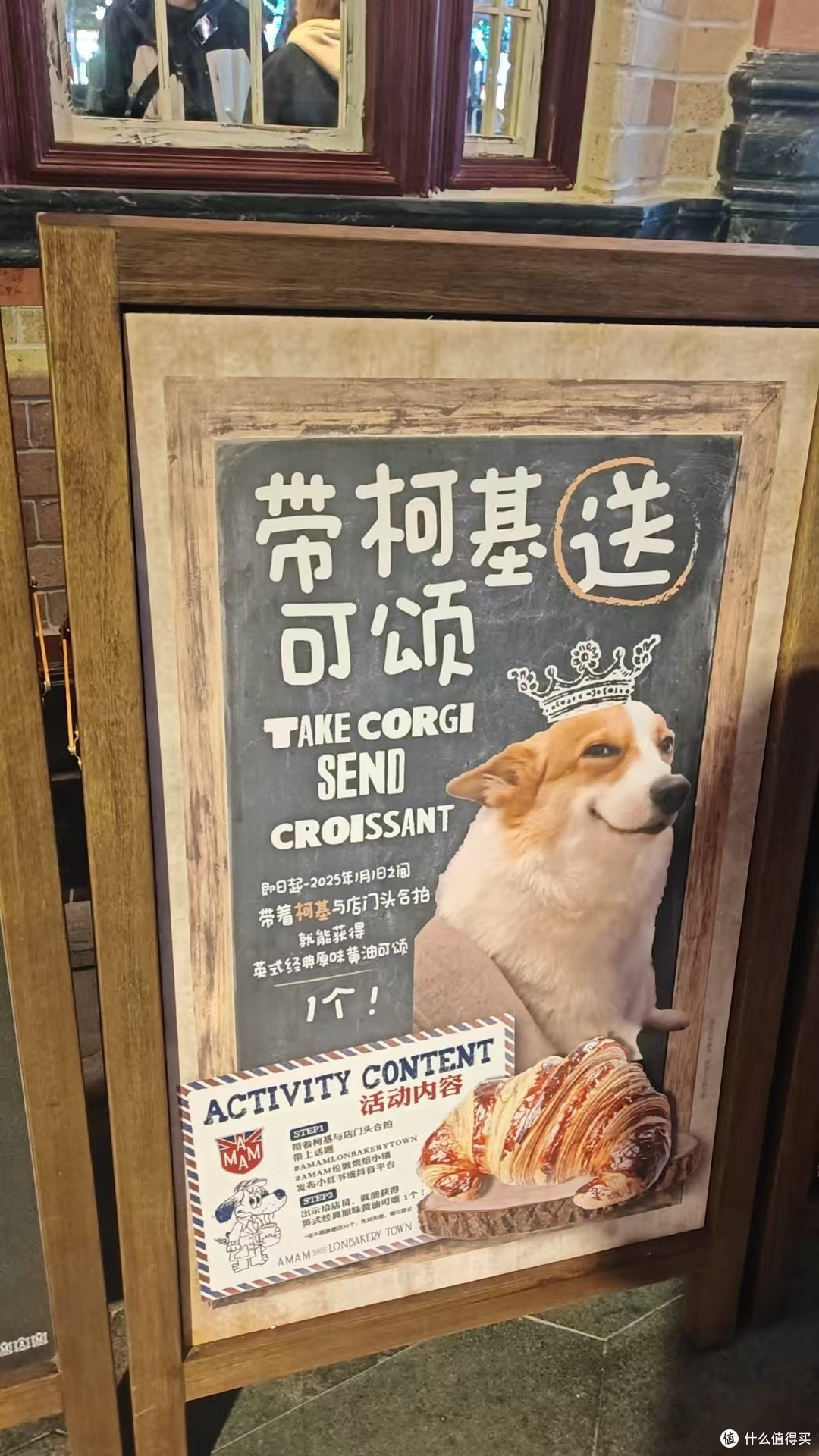 秋日里的忠诚伴侣:两只狗狗的温馨时光