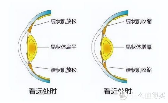 挑选护眼台灯应该注意什么？真人长时间护眼台灯测评分享