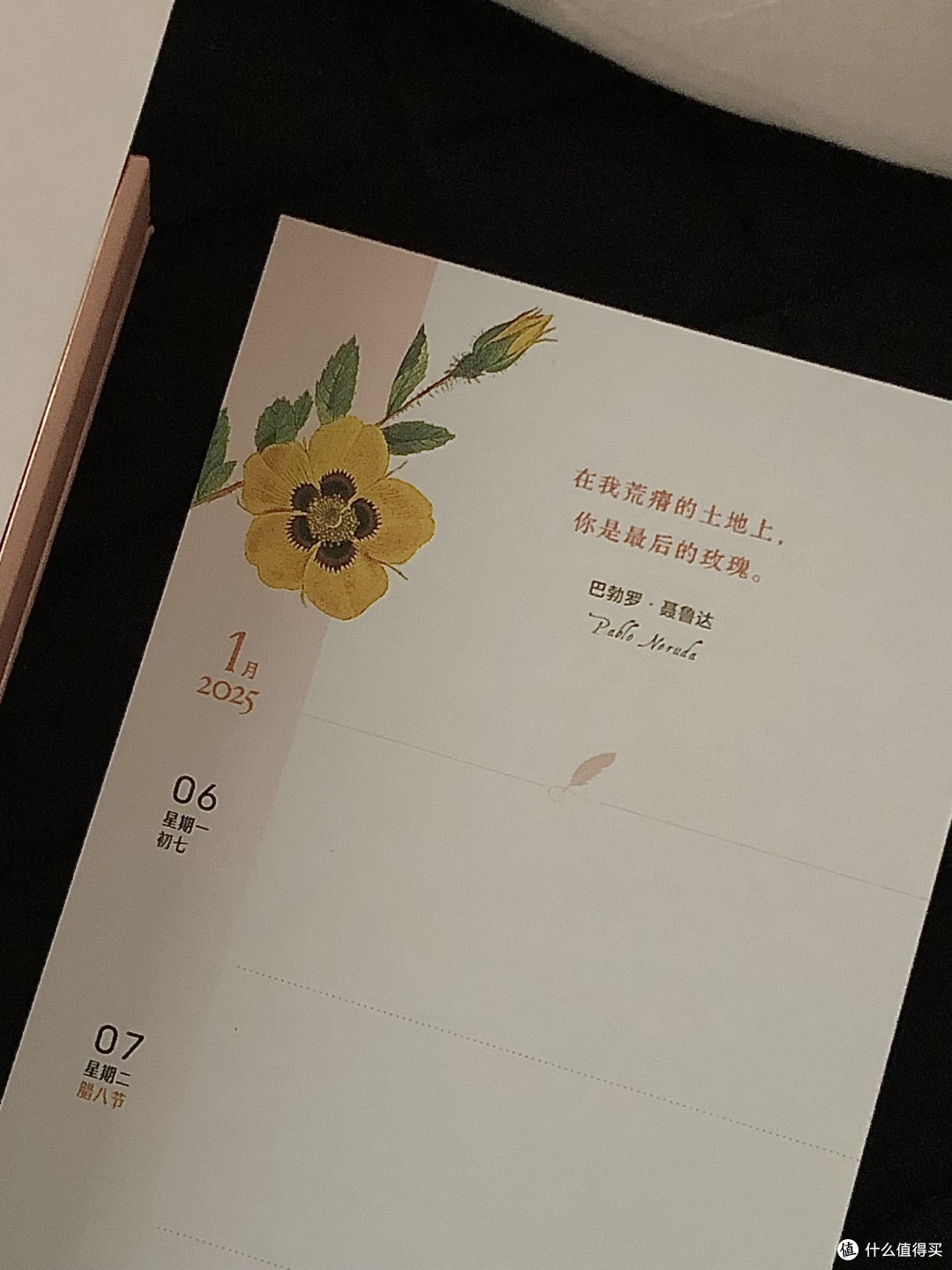这套2025年日历，真绝了！