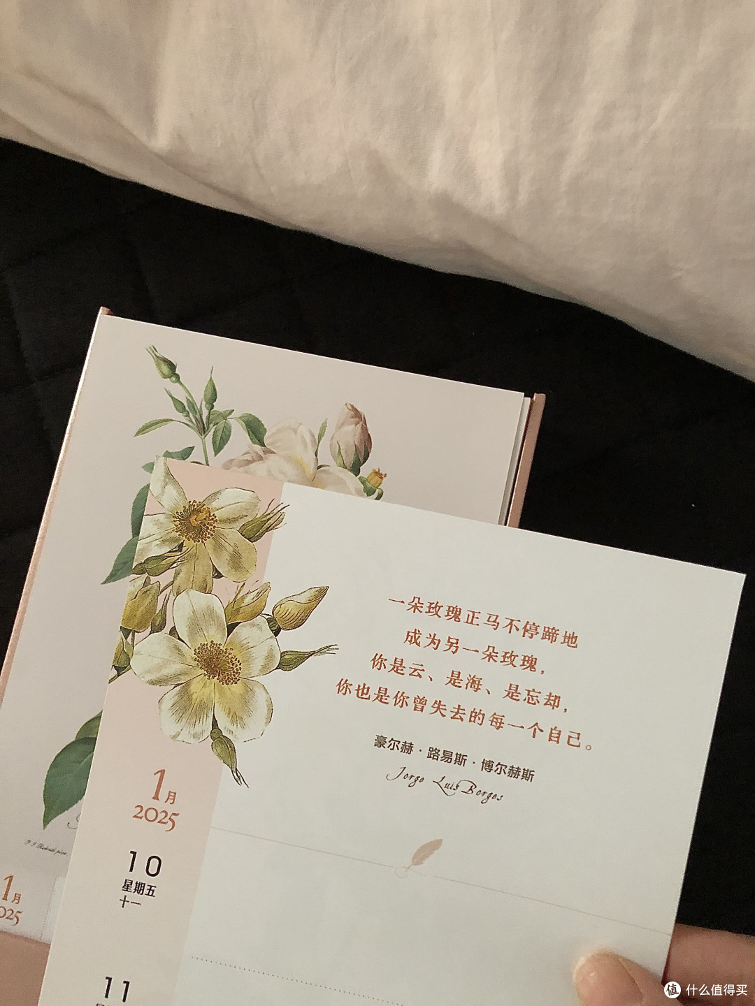 这套2025年日历，真绝了！