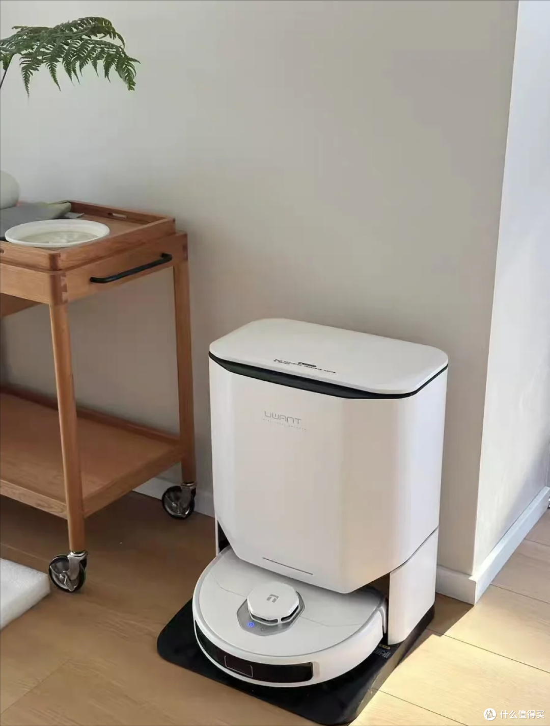 哪个扫地机器人便宜又好用？只推荐这6款，能让过年大扫除更轻松