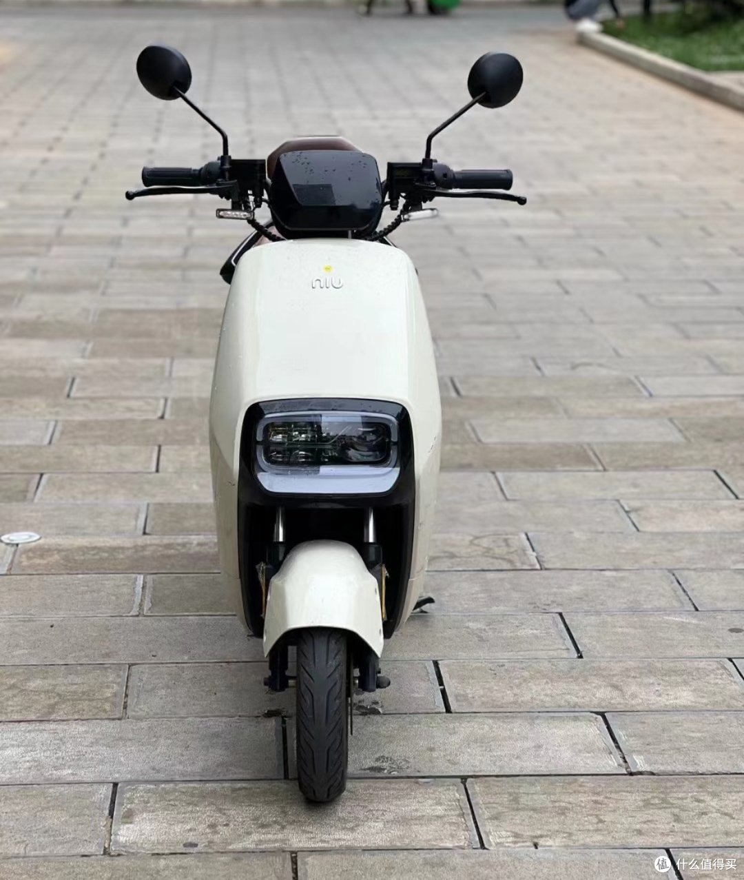 我的小牛电动车,每天穿梭在城市的道路上。