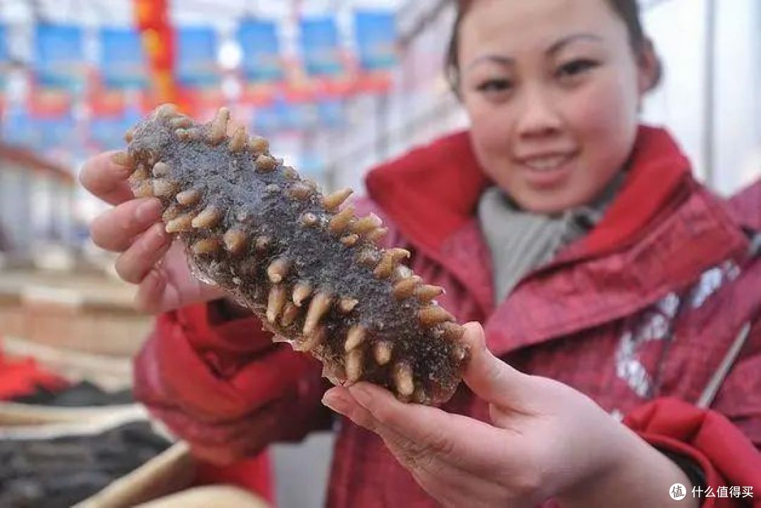 海参和辽参有什么区别?哪种好吃?