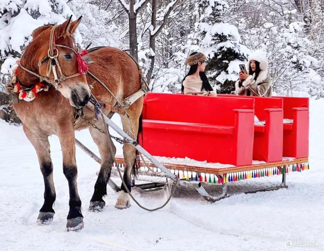 哈尔滨冰雪之旅:家庭的新年狂欢