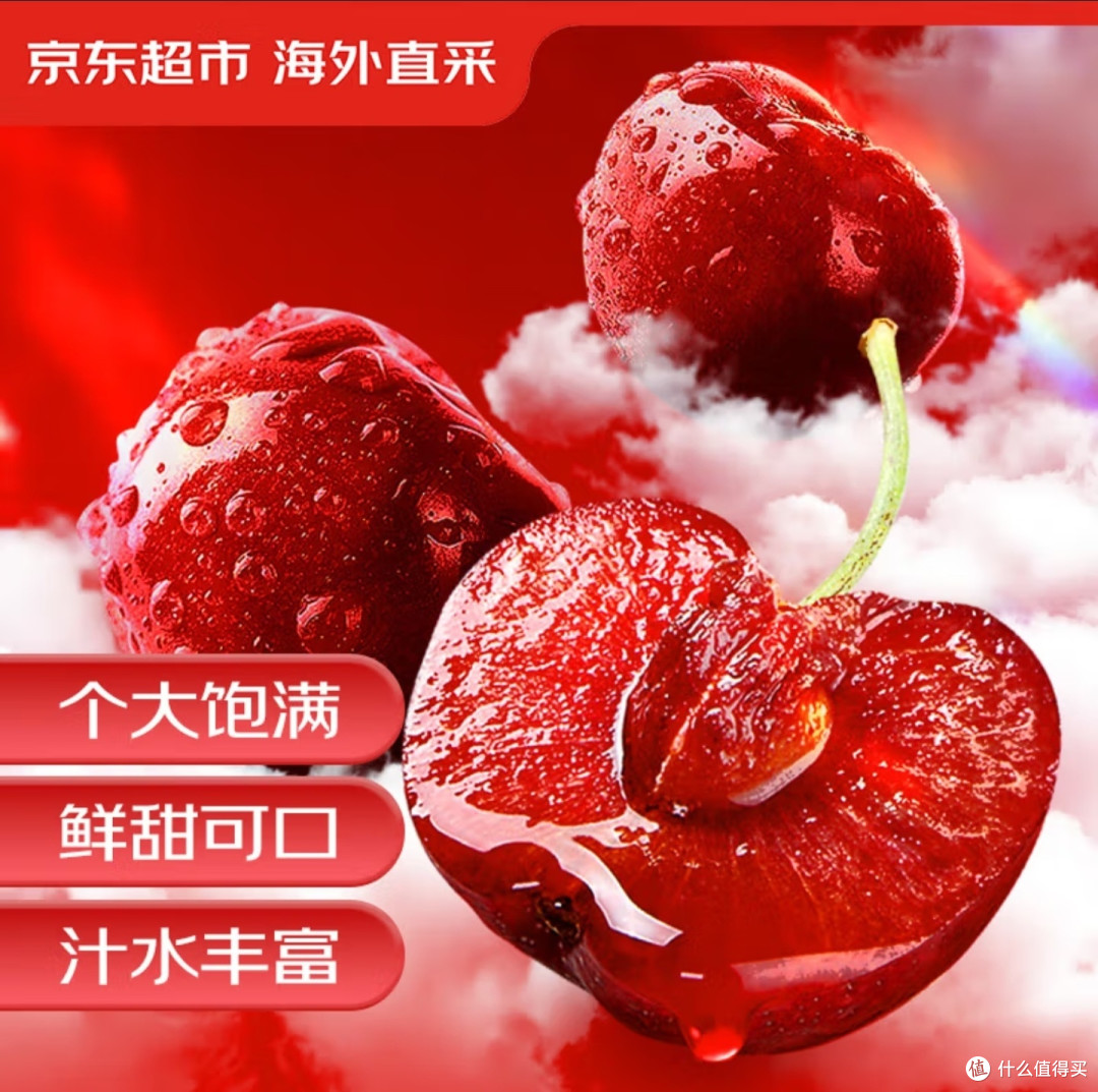 新鲜的蔓越莓,黑龙江正在制造,卷出新境界的中国农业