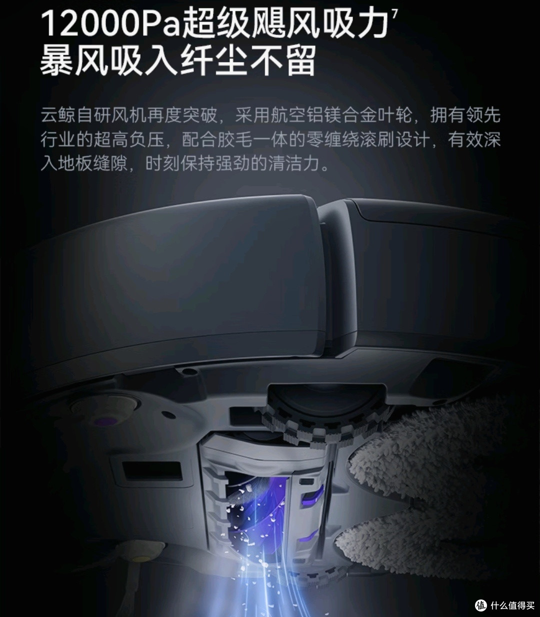 云鲸逍遥两兄弟,001和001max哪家强?