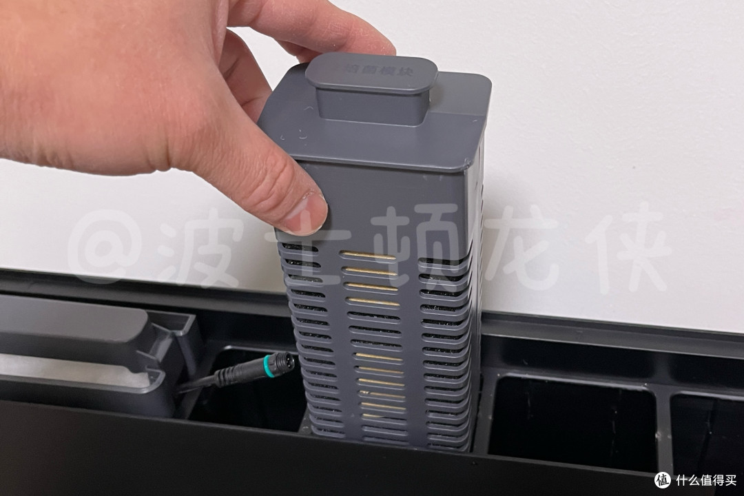 还在云养鱼?当贝鱼缸 1 Ultra让智能养鱼进入2.0时代