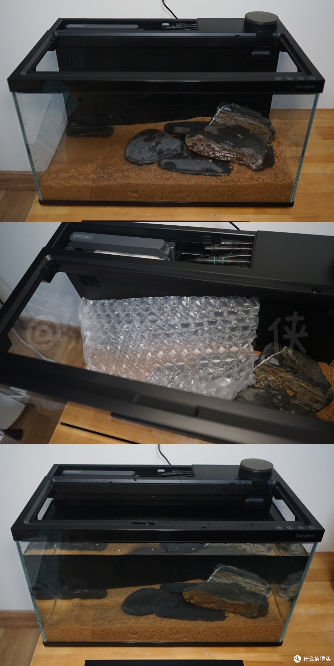 还在云养鱼?当贝鱼缸 1 Ultra让智能养鱼进入2.0时代