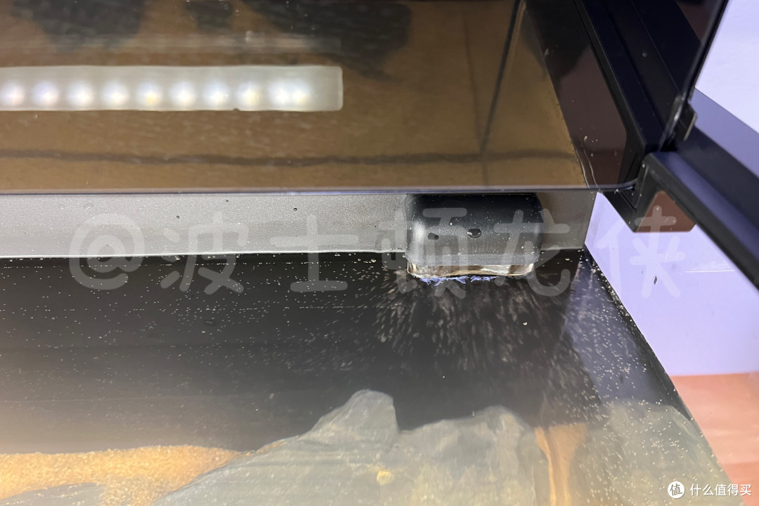 还在云养鱼?当贝鱼缸 1 Ultra让智能养鱼进入2.0时代