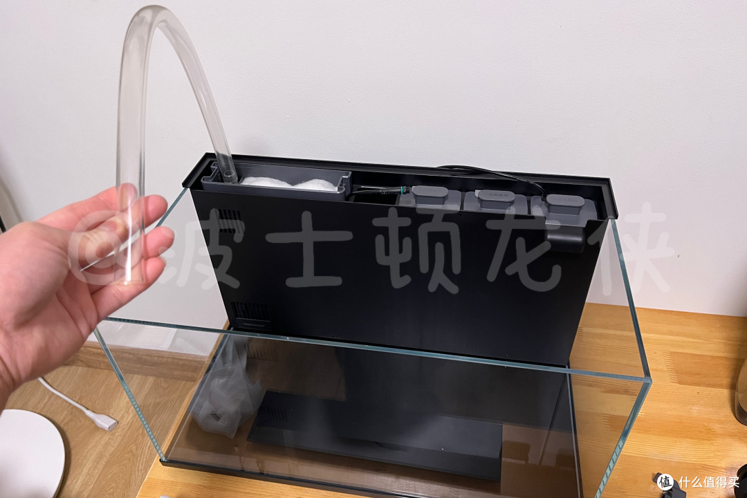 还在云养鱼?当贝鱼缸 1 Ultra让智能养鱼进入2.0时代