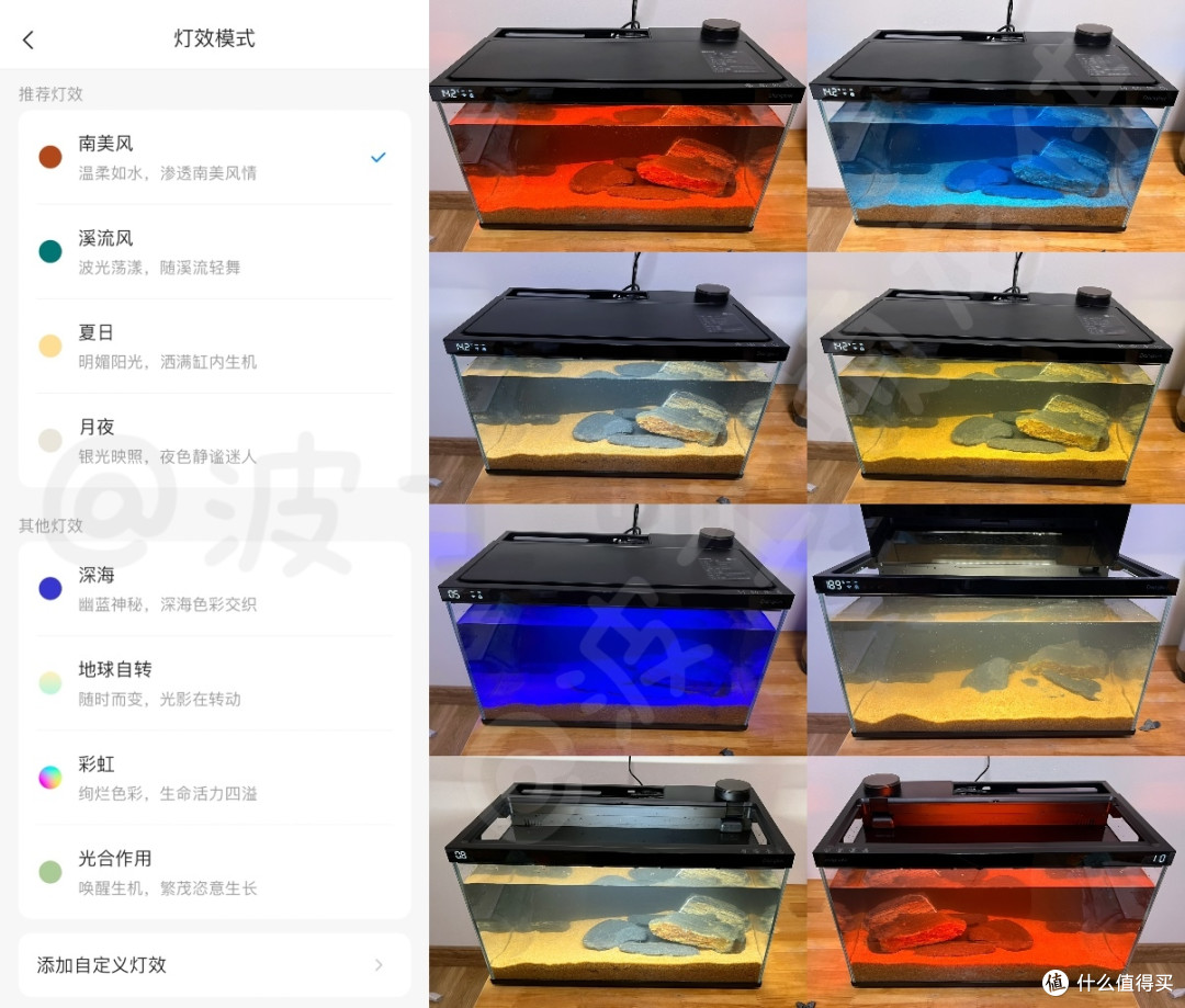 还在云养鱼?当贝鱼缸 1 Ultra让智能养鱼进入2.0时代