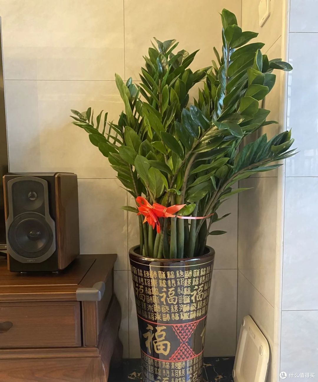 5种花是出了名的“招财童子”,却被很多人当“垃圾”,扔出家里